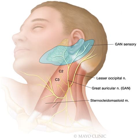 Neck and ear pain — The Body Works Clinic