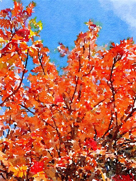 Fall Tree Art Print Digital Download - Etsy