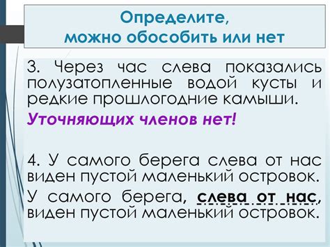 Уточняющие члены предложения - презентация онлайн