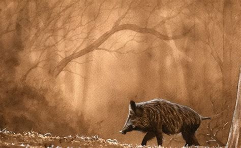 wild boar | Painting, Art, Wild boar