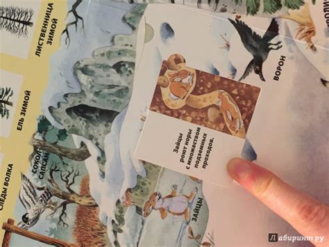 Книга: В лесу - . Купить книгу, читать рецензии | Лабиринт
