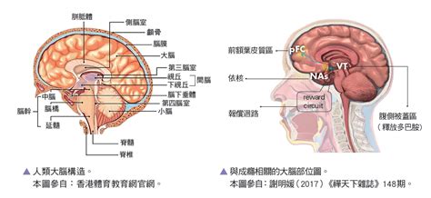 宇宙光全人關懷網