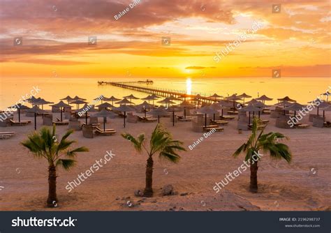 Marsa Alam: Over 12,662 Royalty-Free Licensable Stock Photos | Shutterstock