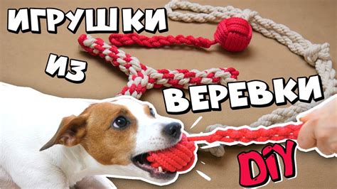 DIY ИГРУШКИ ДЛЯ СОБАК | ПРОЧНЫЕ ИГРУШКИ ИЗ ВЕРЁВКИ - YouTube