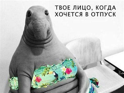 Ждунчик... - Юмор, болталка, флудилка, игровая