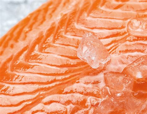 Inarctica on Behance