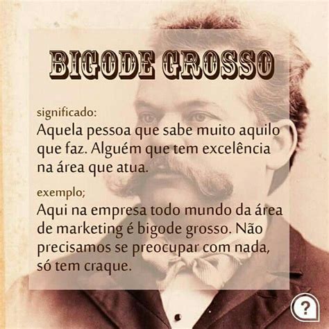 O Que Significa A Gíria Bigode - Pros parceiro bigode grosso #qualeagiria #bigodegrosso | Bigode grosso ...