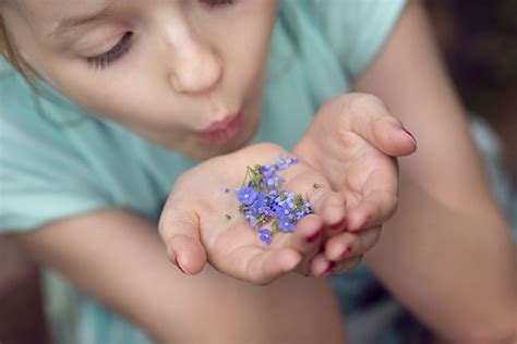 How to Make Natural Blue Dye From Plants