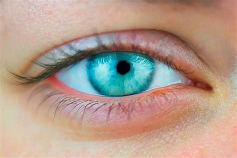 Best Eye Vitamins – Lifeboat News: The Blog