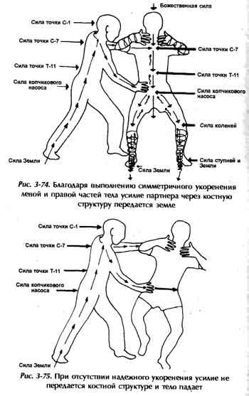 Чиа Мантэк, Винн Майкл - "Цигун "Железная рубашка"