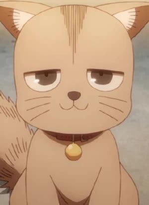 kin character anisearchcom