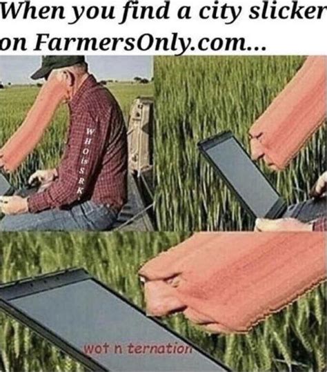 wot : r/memes