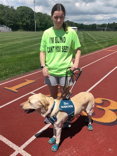 What Does Guide Dogs For The Blind Do