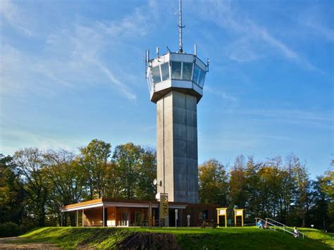 Die Wingst