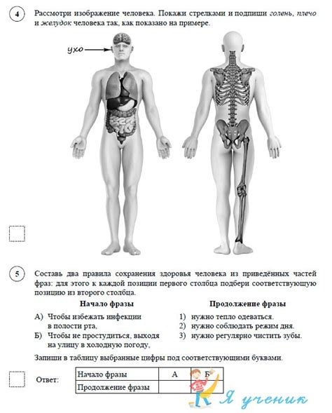 ВПР 2020. Окружающий мир. 4 класс. Демоверсия » Я ученик. Сайт для ...