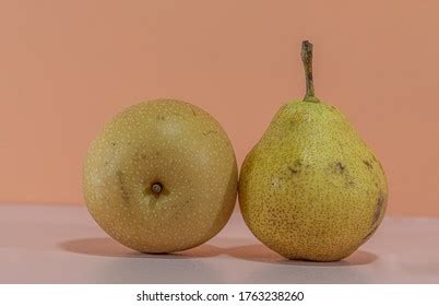 20 Pyrus Spp Images, Stock Photos, 3D objects, & Vectors | Shutterstock