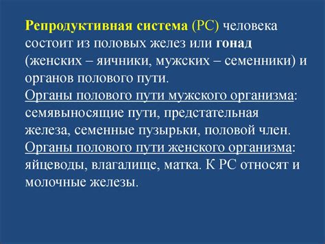 Репродуктивная система - презентация онлайн