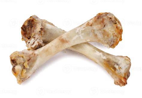 Two turkey bones isolated on a white background. Turkey wing bone