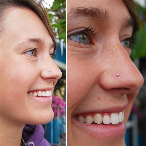 Nose Piercing Steps at Lachlan Ricardo blog