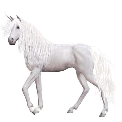 Единорог в png без фона