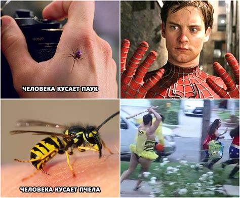 Пчеловек | Пикабу