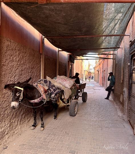 Haggling and Hammams — Third Culture Karin