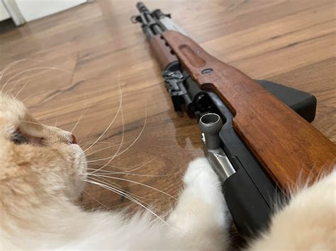 gun  yugoslavian sks zastava  rsks