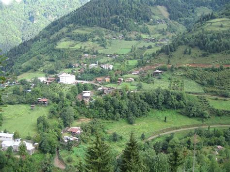 Macahel Fotoğrafları 2007