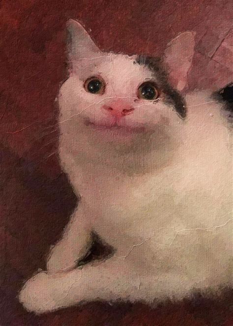 cat meme poster picture metal print paint  meme daily displate
