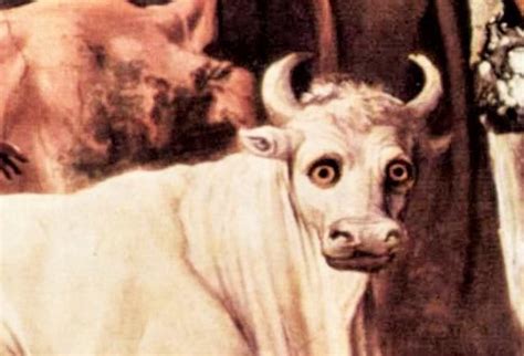 Helios Cattle