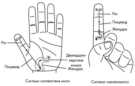 Точка а у женщин где находится: Помимо широко известной точки G, у ...