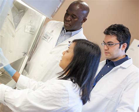 cancer research overview  foundation