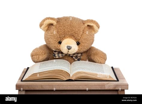 The teddy bear book hi-res stock photography and images - Alamy