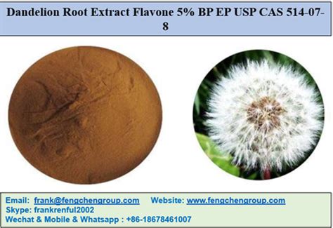 Экстракт корня одуванчика Флавон 5 процентов BP EP USP CAS 514-07-8 ...