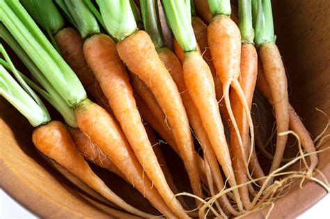 wortel segar  manis  mangkuk kayu makanan nabati foto stok