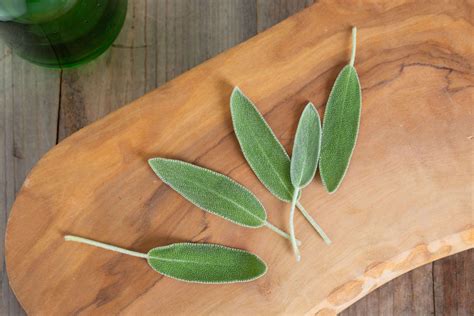 Benefits of Sage - Nature’s Flavors Blog