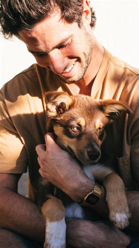 Manfaat Dan Makna Di Balik Arti Mimpi Memelihara Anjing - Hisham