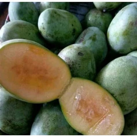 jual mangga manalagi madu  kg shopee indonesia