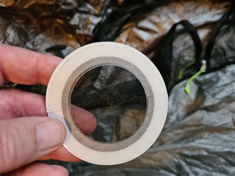 Gear talk: repairing holes in tent mesh – Three Points of the Compass