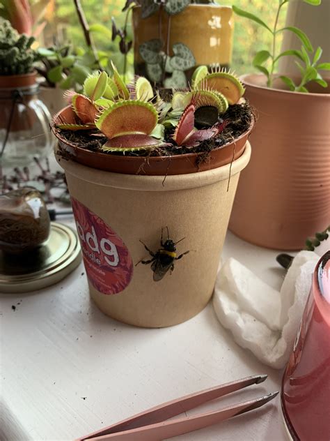 ronan on Twitter: noo dont kill yourself ur so sexy haha https://t.co