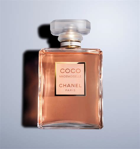 How Much Does Coco Chanel Cost - Grooming Wise