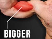 11 Biceps Workouts (Home Dumbbell Routines) ideas | biceps workout ...