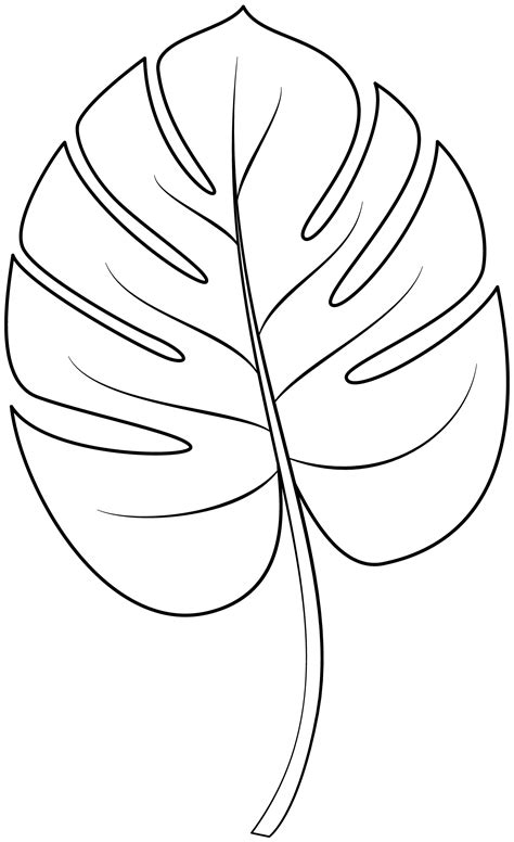 Тропический лист трафарет (Много фото) - drawpics.ru