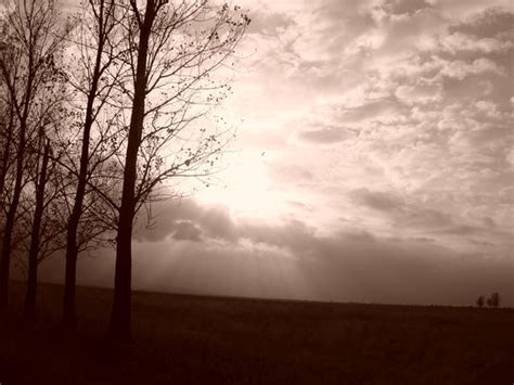 Spirit by irina-iordache on DeviantArt