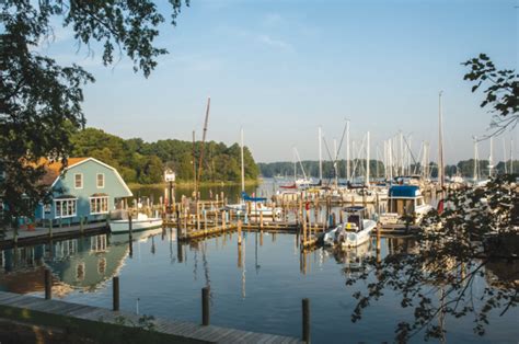 cruising  chester river proptalk