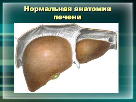 Заболевания печени - презентация онлайн