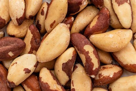 Brazil Nut Stock Photos, Images and Backgrounds for Free Download