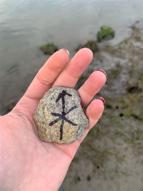 Muslim dream interpreter warns about the meaning of these symbols 25