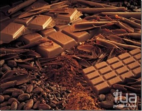 Приколи - картинки, відео приколи, смішні історії та анекдоти