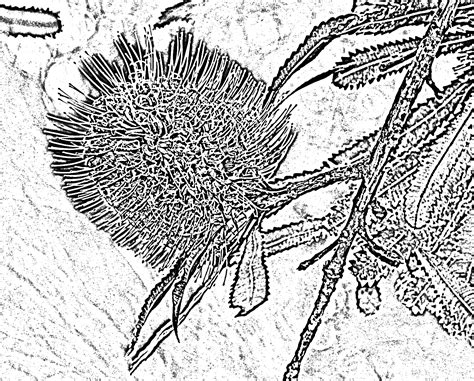 Relief Drawing at GetDrawings | Free download